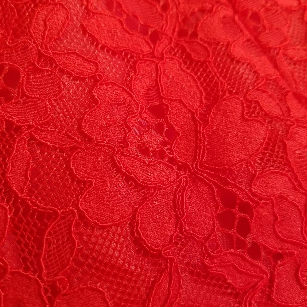 Shoshanna Red Lace Sleeveless Dress - Picture 9 of 11